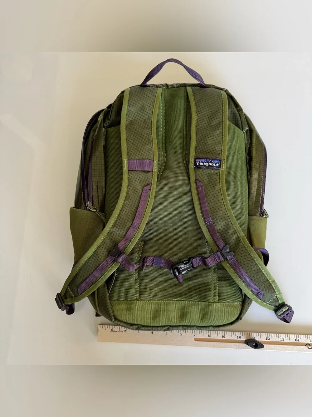 Patagonia Black Hole Pack 26L Backpack Bag Lightweight 49050 SPTG Green Purple